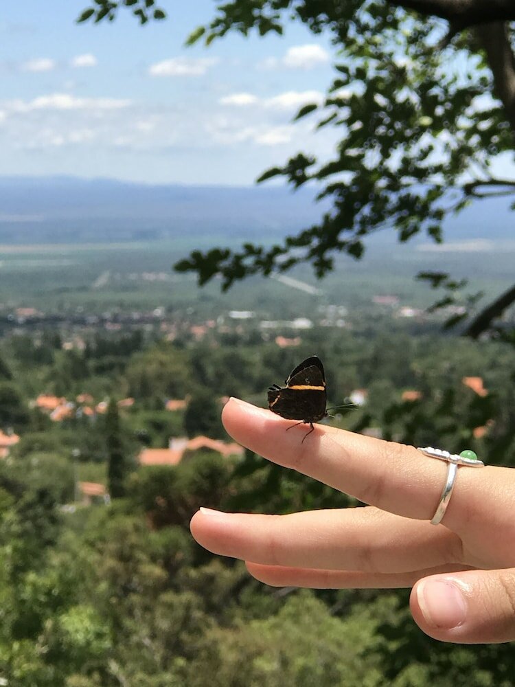 Фото Hotel El Hornero SPA