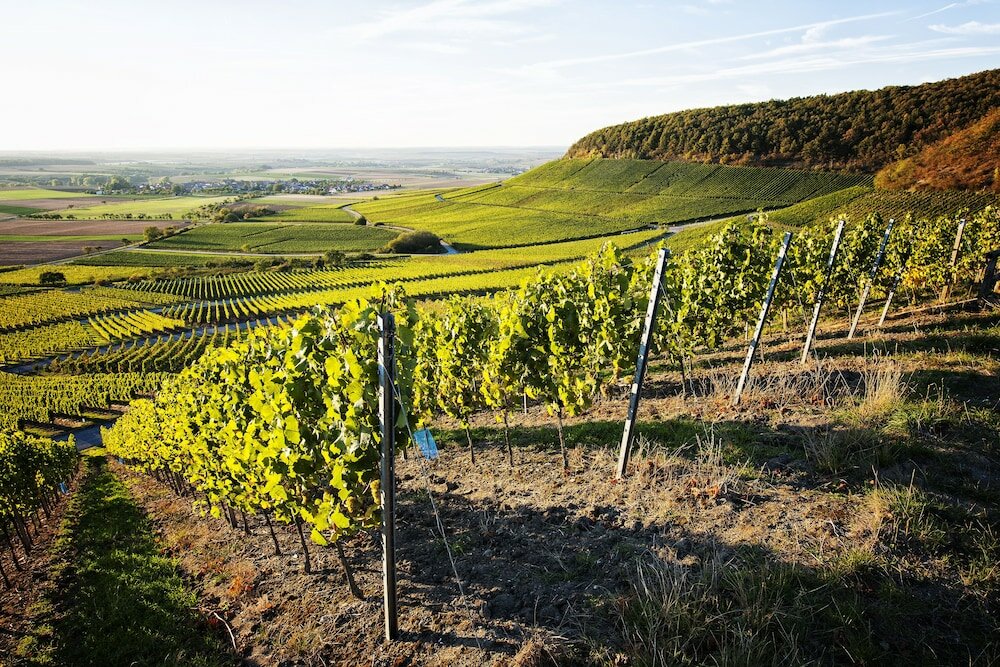 Фото Vital Hotel an der Therme
