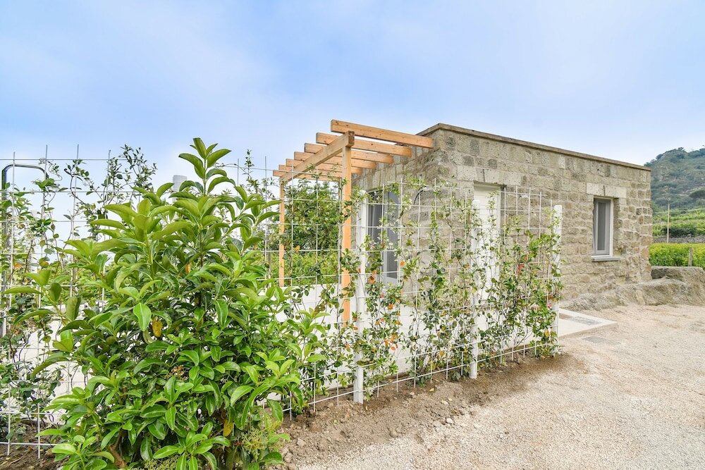 Фото Tenuta C'est la Vie