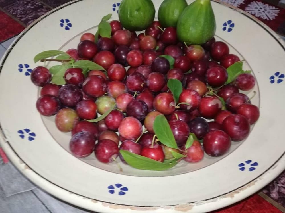 Фото B&b La Marianna