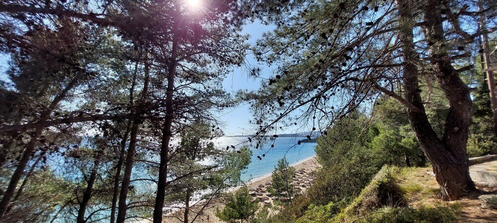 Фото Villa Elaionas 1