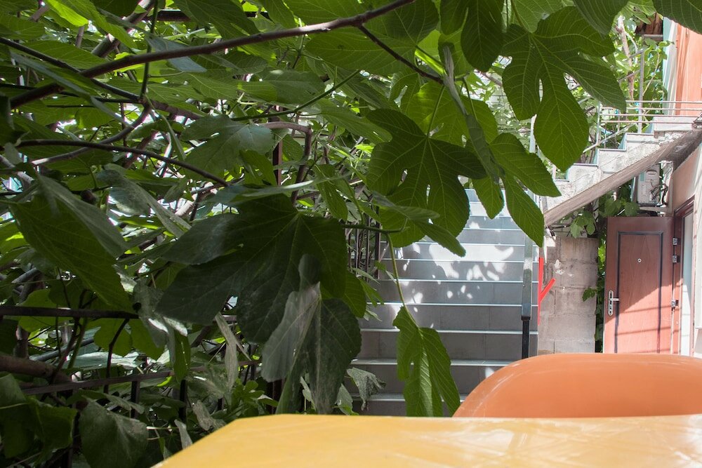 Фото Колибри Beach