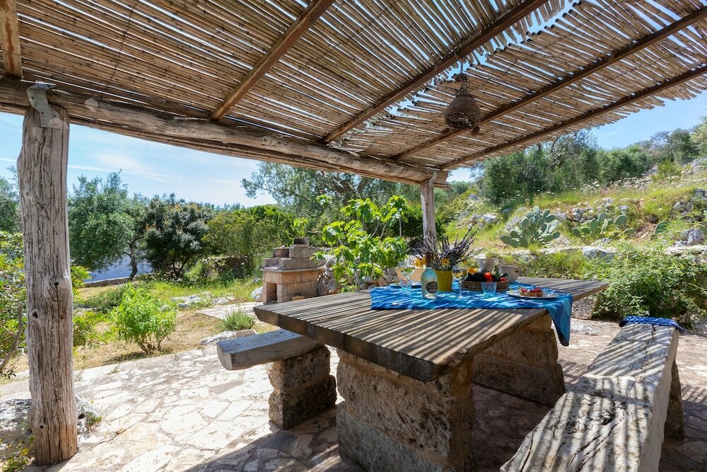 Фото Pajara Rugiada