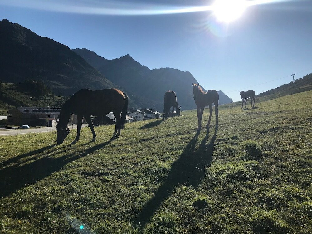 Фото Hotel Jagdschloss Resort