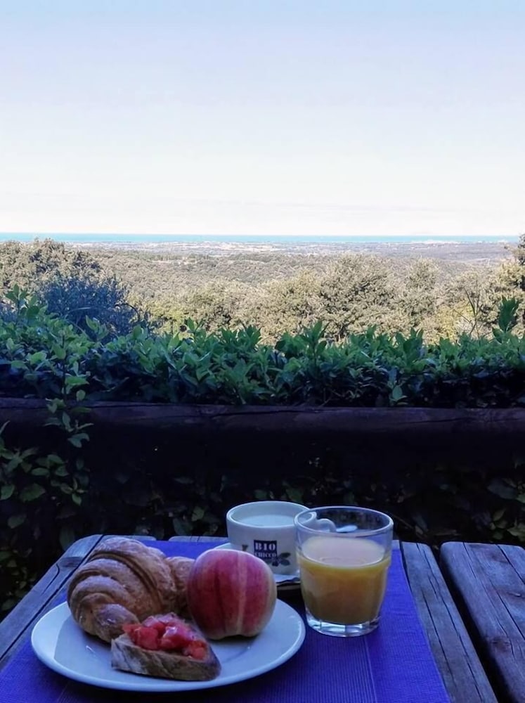 Фото Agriturismo Fattoria La Prugnola