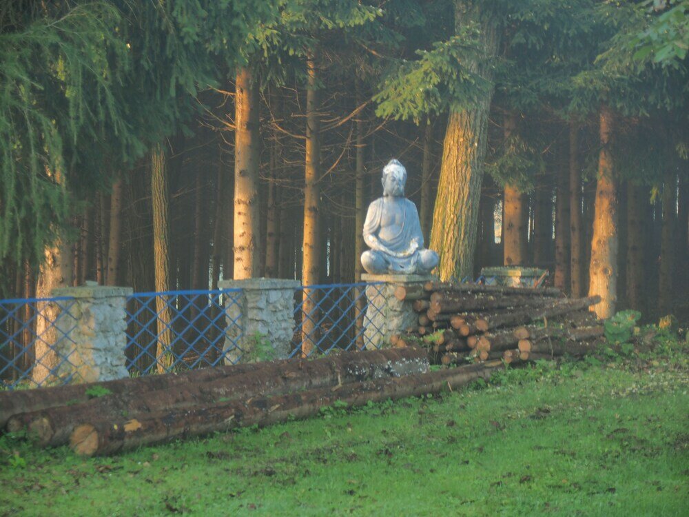 Фото Guest house Sara Latin