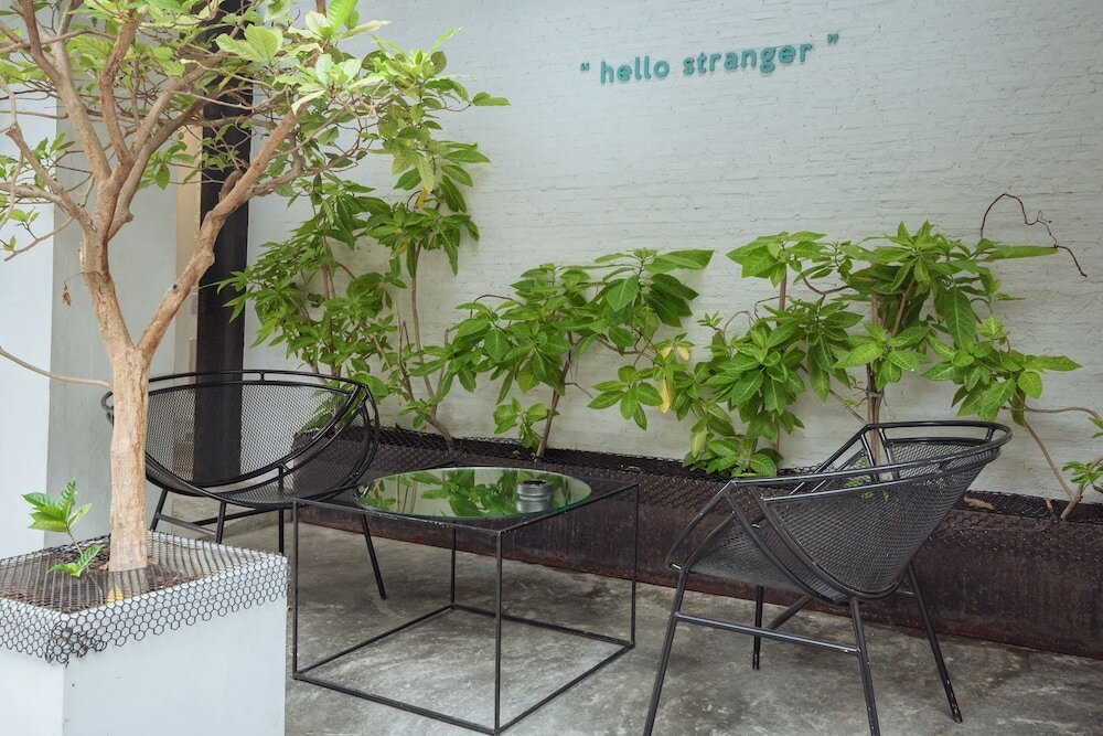 Фото Chocolate Box Mint