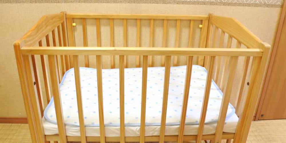 Фото Ryokan Shinyone