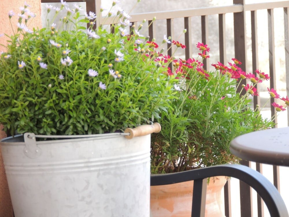 Фото B&b il rosso e il nero