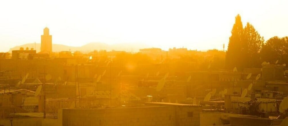 Фото Abelia Riad