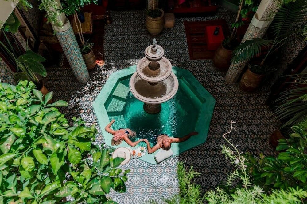 Фото Abelia Riad