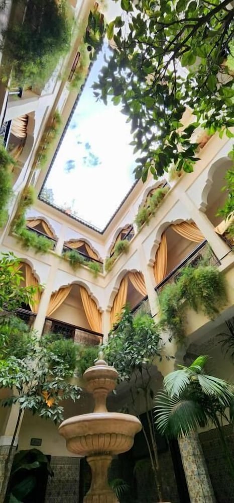 Фото Abelia Riad