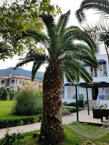 Гостиница Villa Riviera
