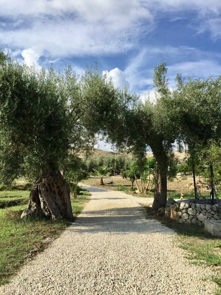 Фото Iuta Glamping & Farm