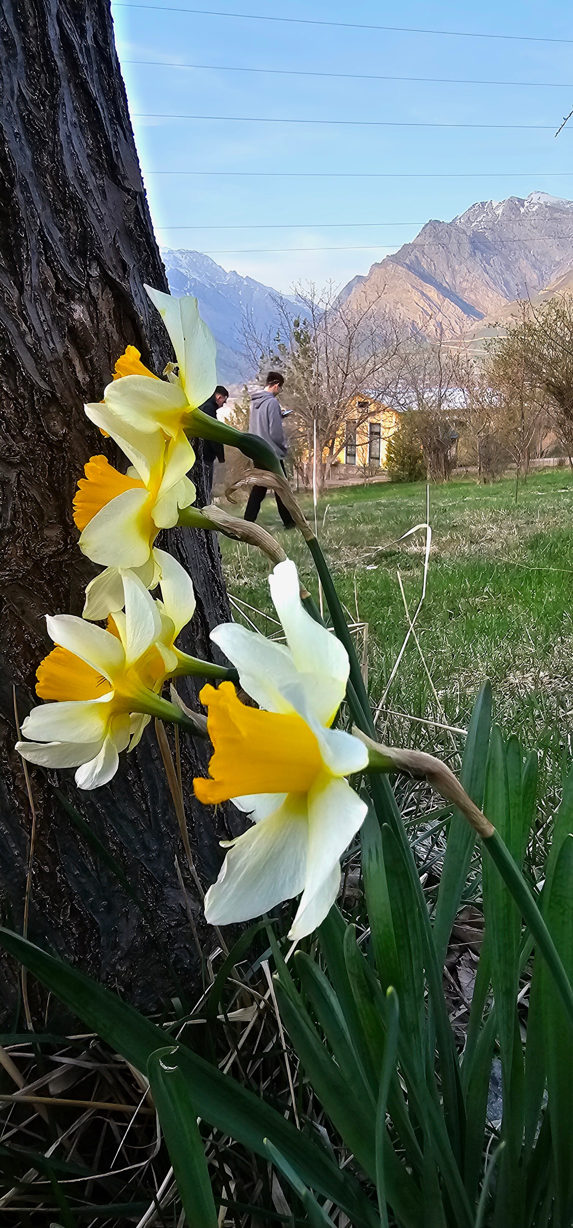 Фото Avenue Park Hotel