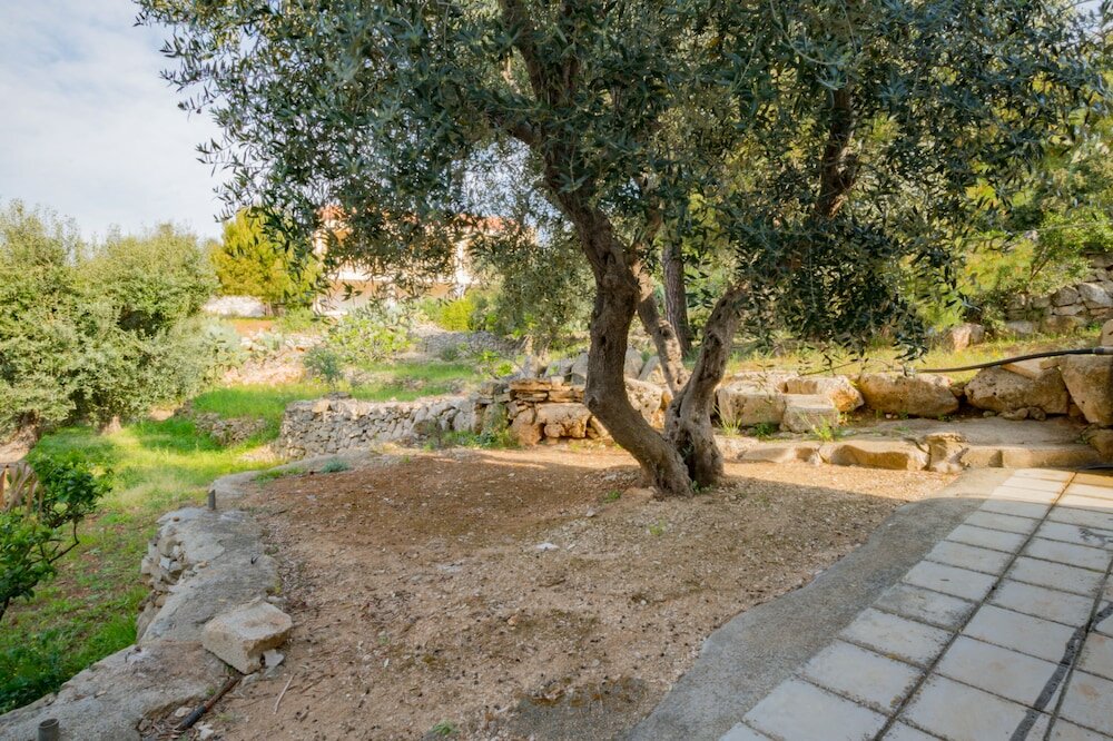 Фото Guesthouse Villa Ilios