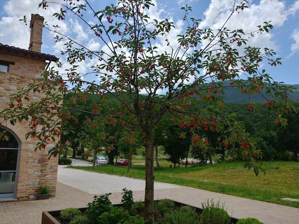 Фото Agriturismo Colle Casini Cortesi