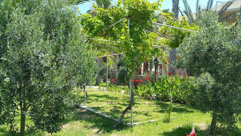 Фото Oscar Resort Hotel