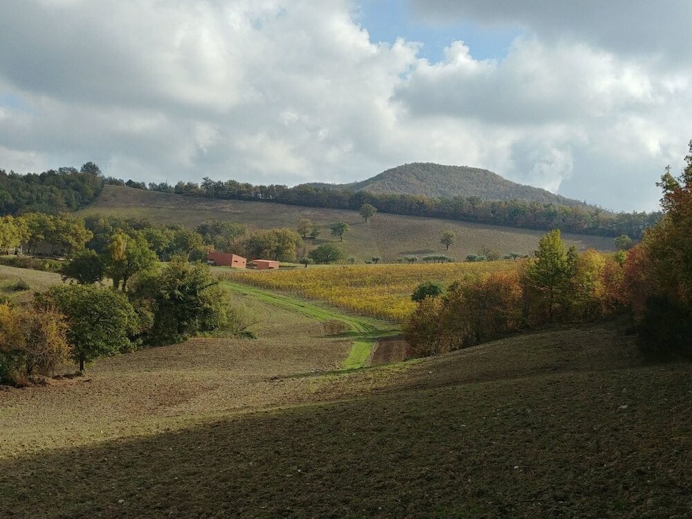 Фото Agriturismo Colle Casini Cortesi