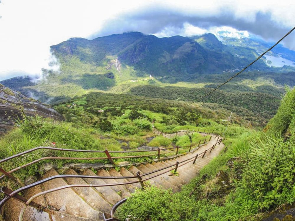 Фото Heaven Hills Guest House