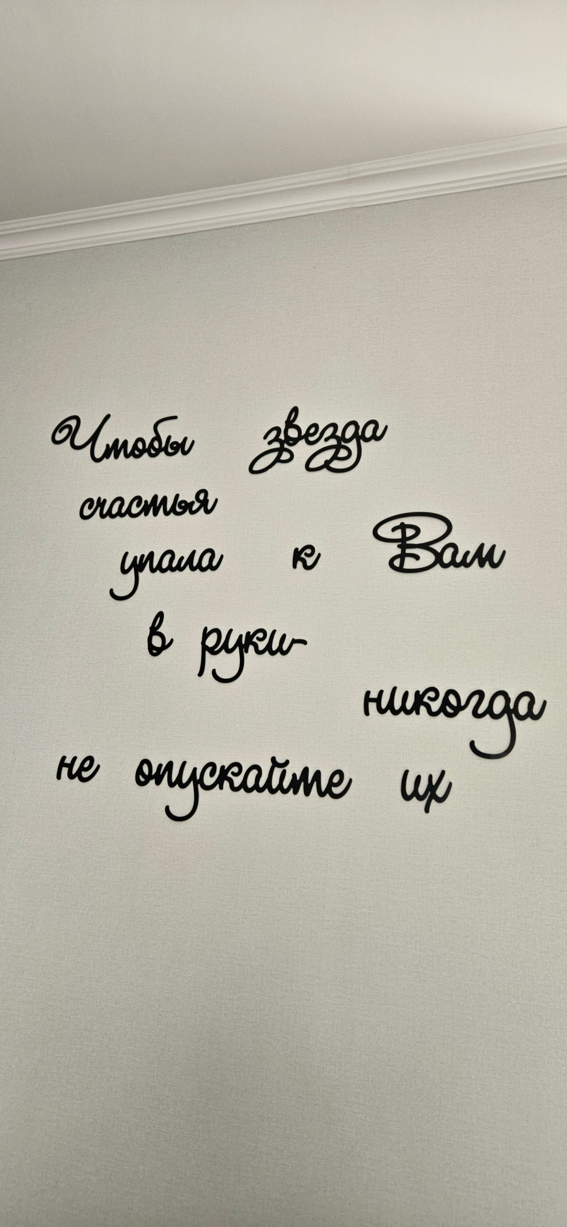 Фото Авиатор