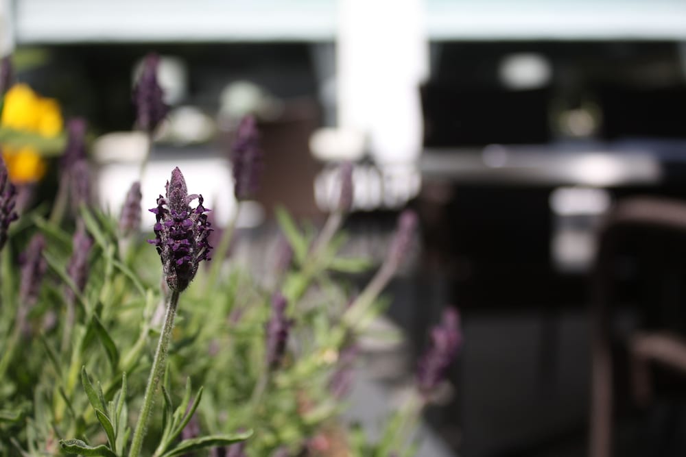 Фото Hotel zur Post