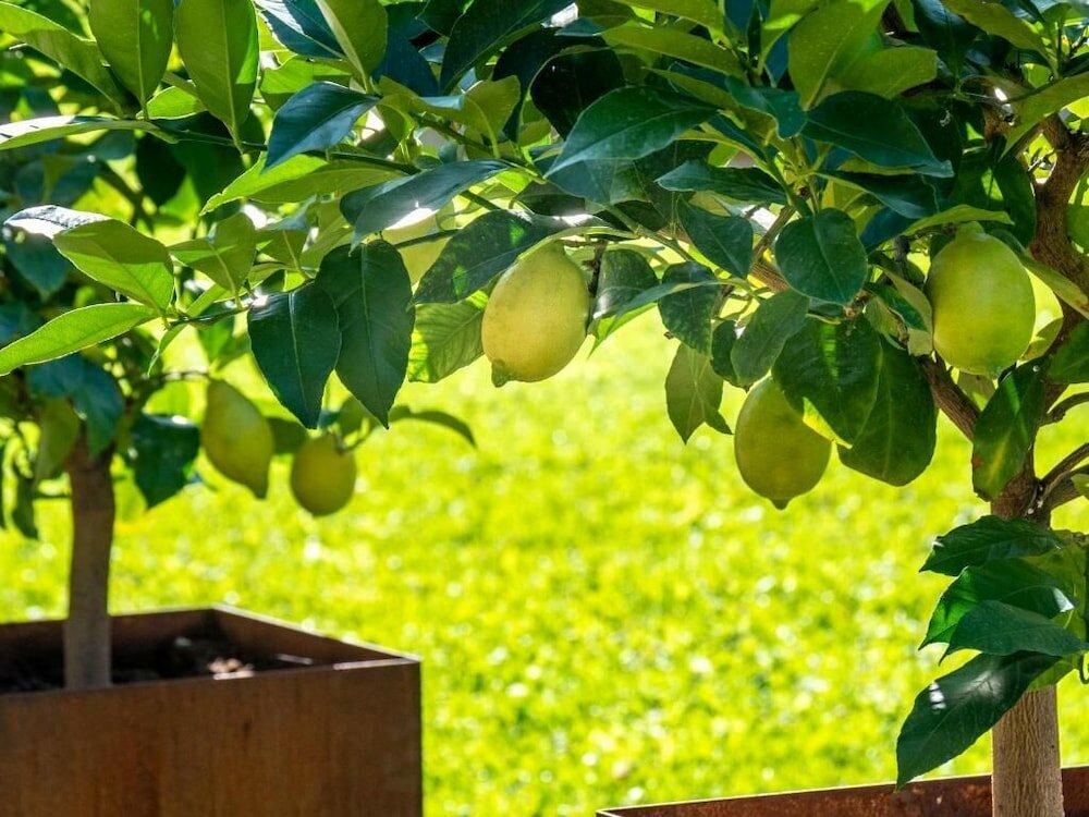 Фото Gartenheim B&b Tramin