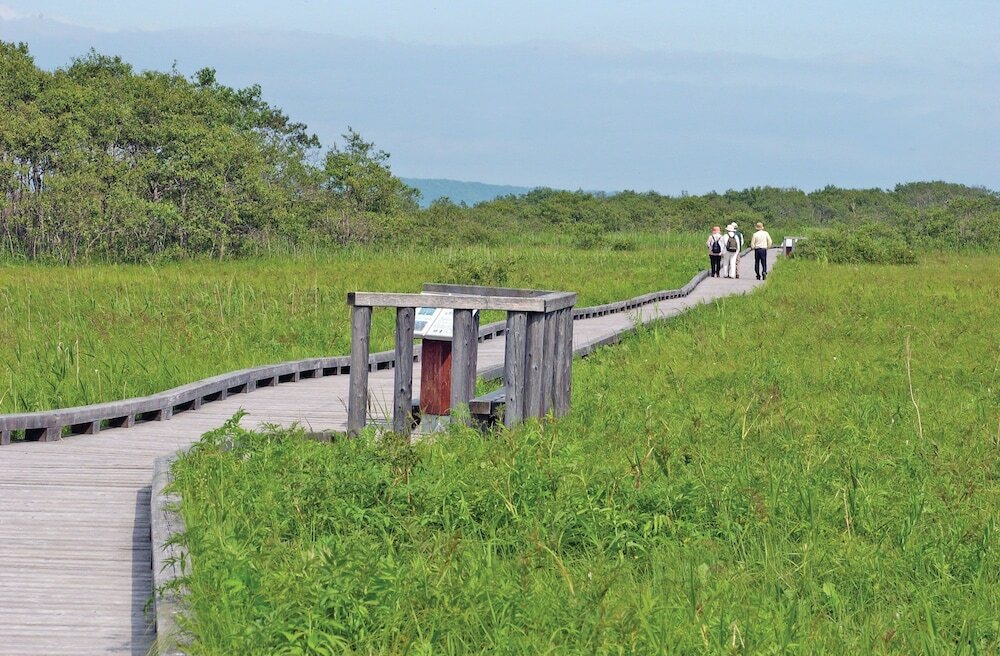 Фото Green Park Tsurui