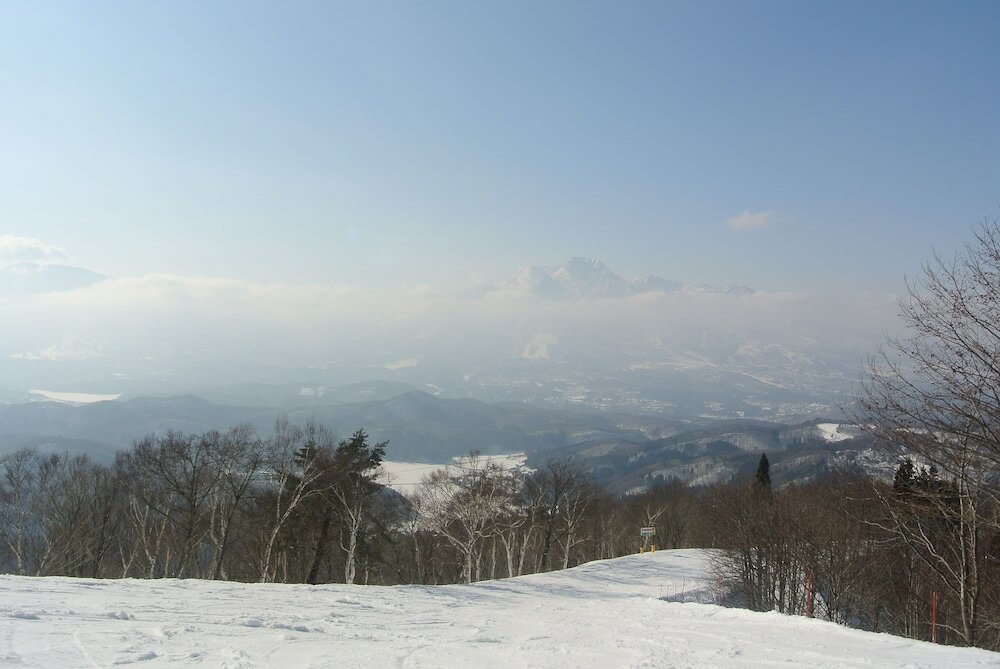 Фото White Tree Lodge