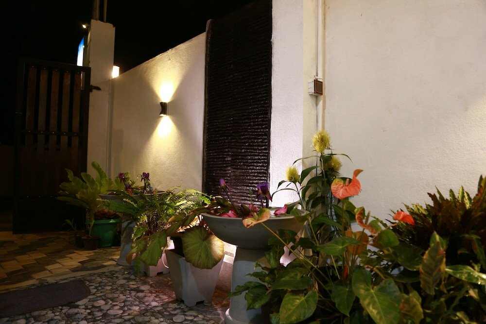 Фото New planet guest