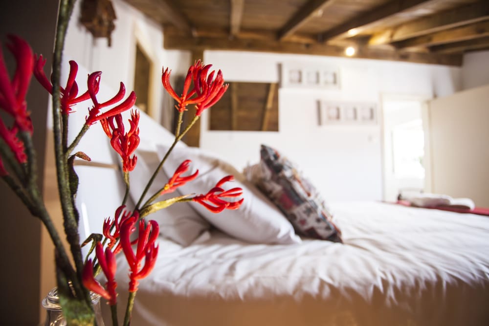 Фото LxWay Apartments Elevador da Bica