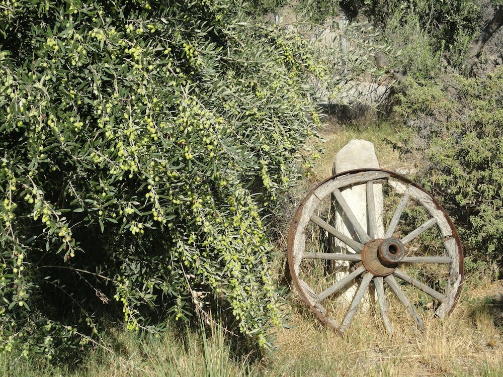 Фото Phaestias Villas