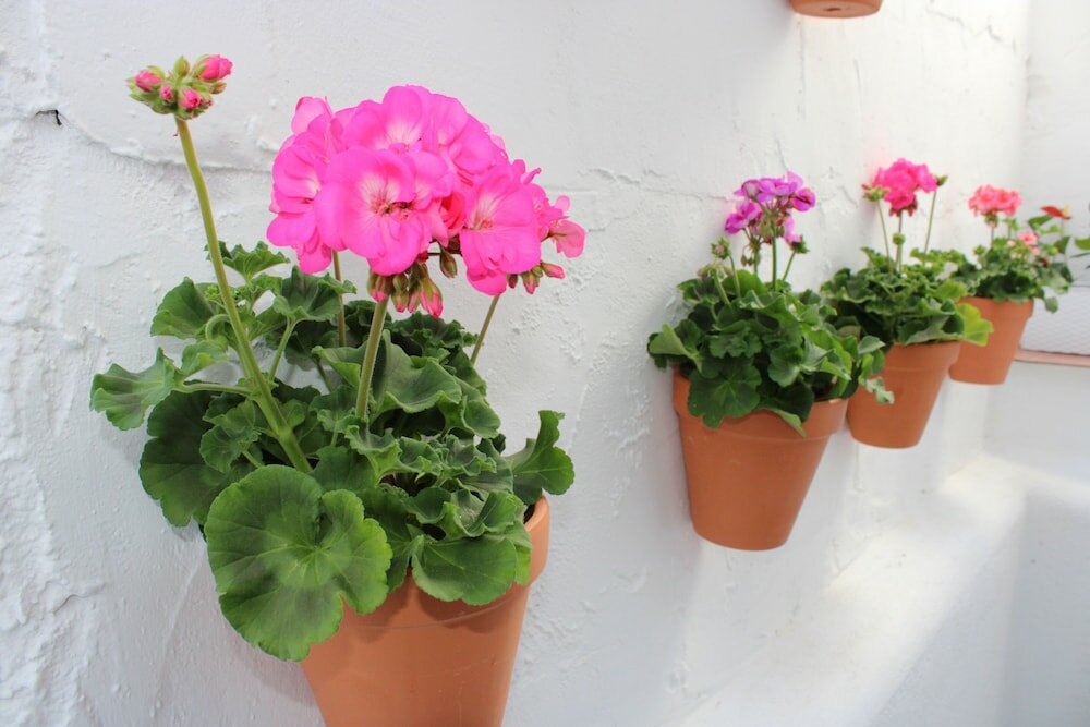 Фото Luxury Penthouse Historical Center