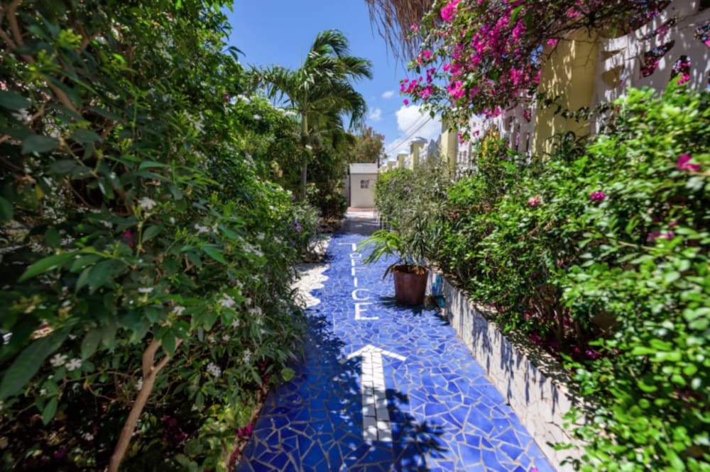 Фото Sunflower Villa Studios by Cmd