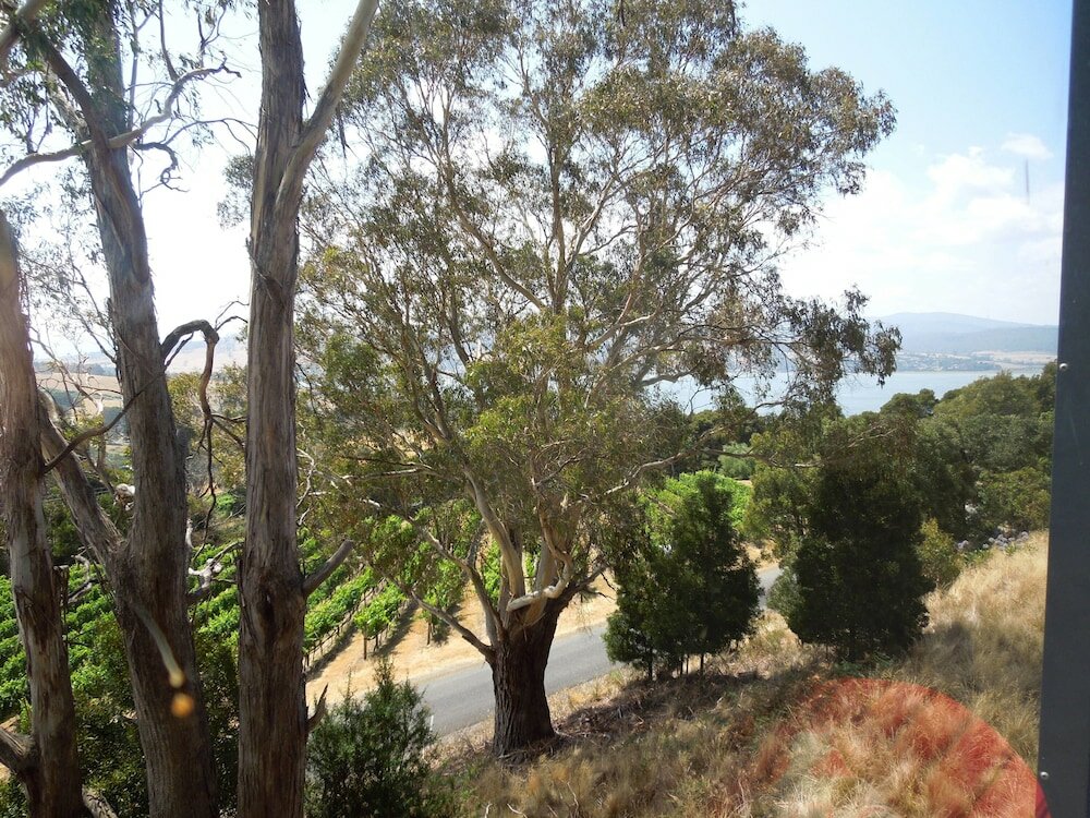 Фото River Vineyard Retreat