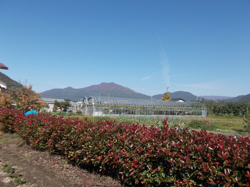 Фото Guest House Honami-Kaido - Hostel