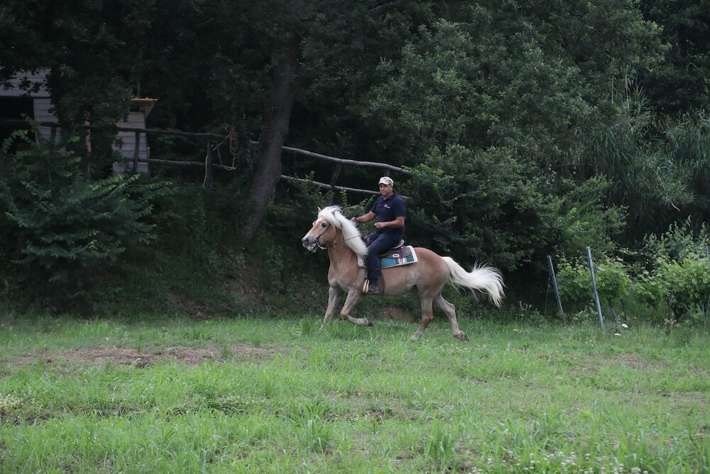 Фото Borgo Rosso di Sera Resort Country Chic