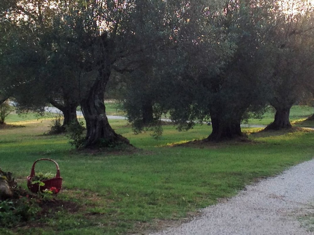 Фото Agriturismo Borgo il Ducato