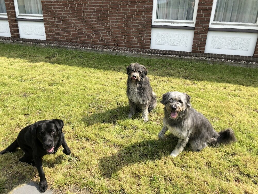 Фото Hotel am Schlosspark Herten