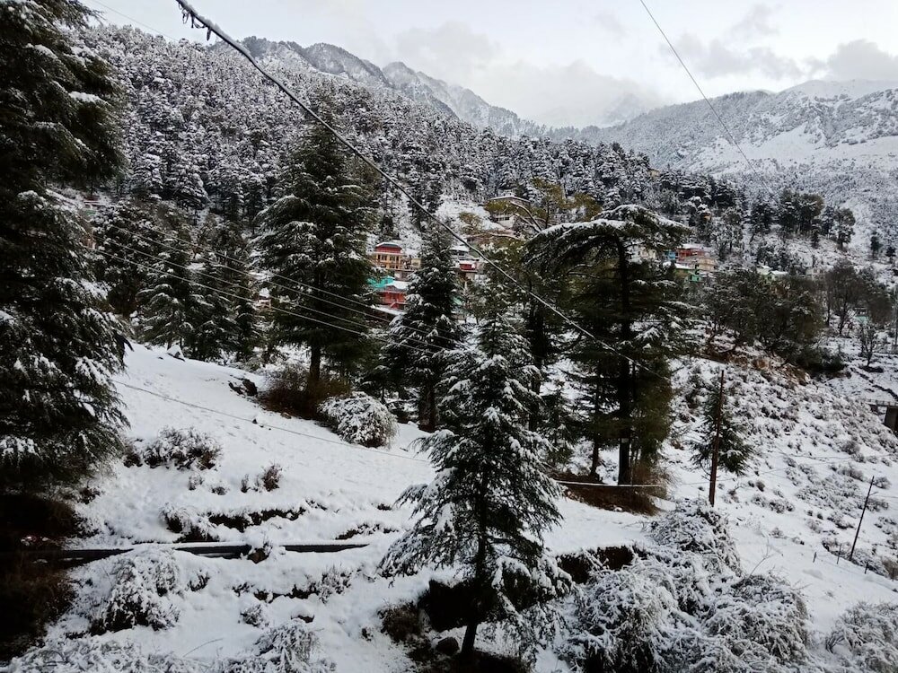 Фото Hotel Pine Spring