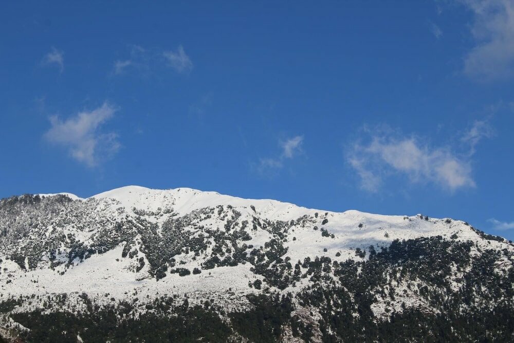 Фото Hotel Pine Spring