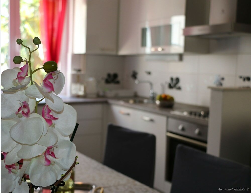 Фото Apartments Buffalo