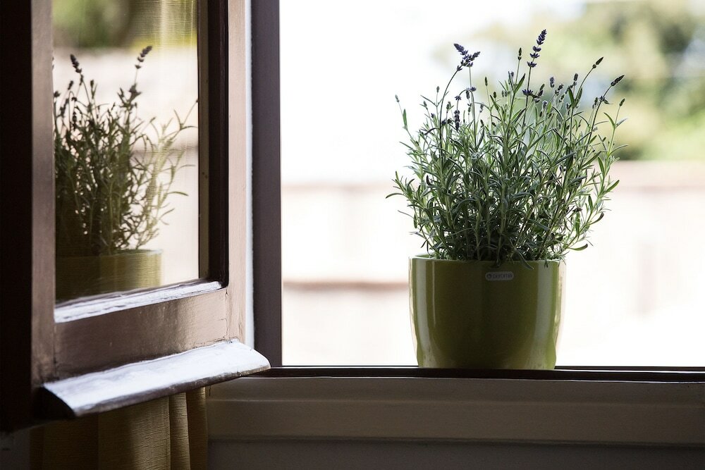 Фото Bella Vista b&b