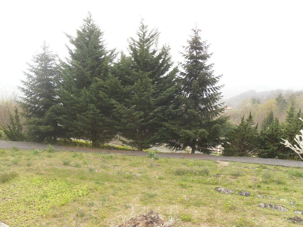 Фото Agriturismo Le Giare