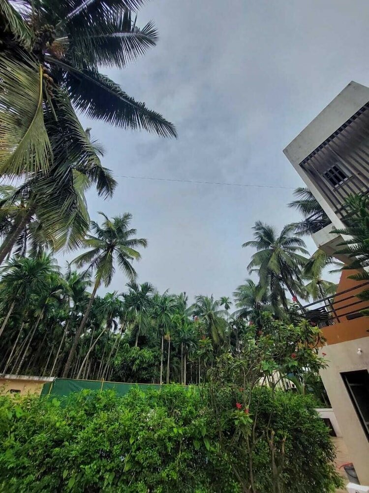 Фото Royal Paradise Hotel