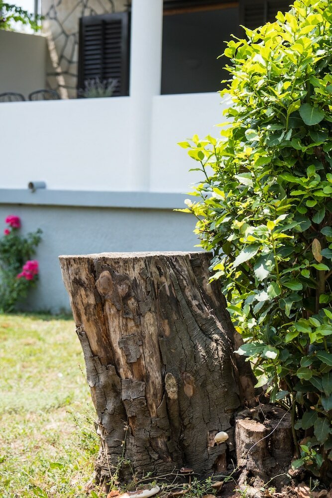 Фото Villa Mirta