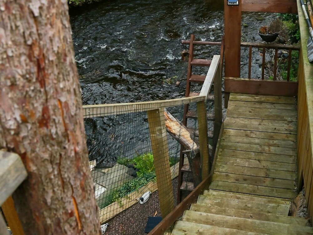 Фото Kevock Vale Park