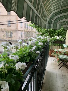 Гостиница Hotel Central Bastia