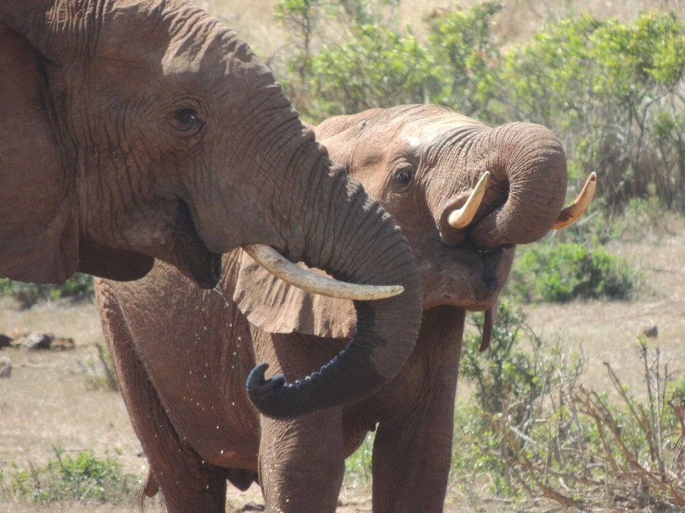 Фото Nukakamma River Guesthouse
