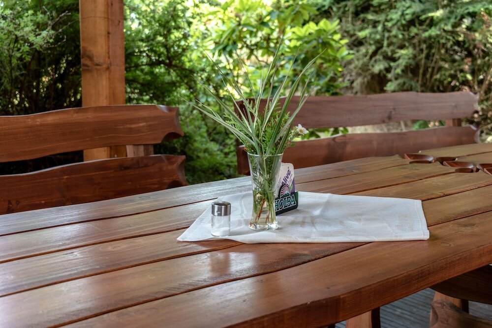 Фото Hotel Pod Jedlovým vrchem